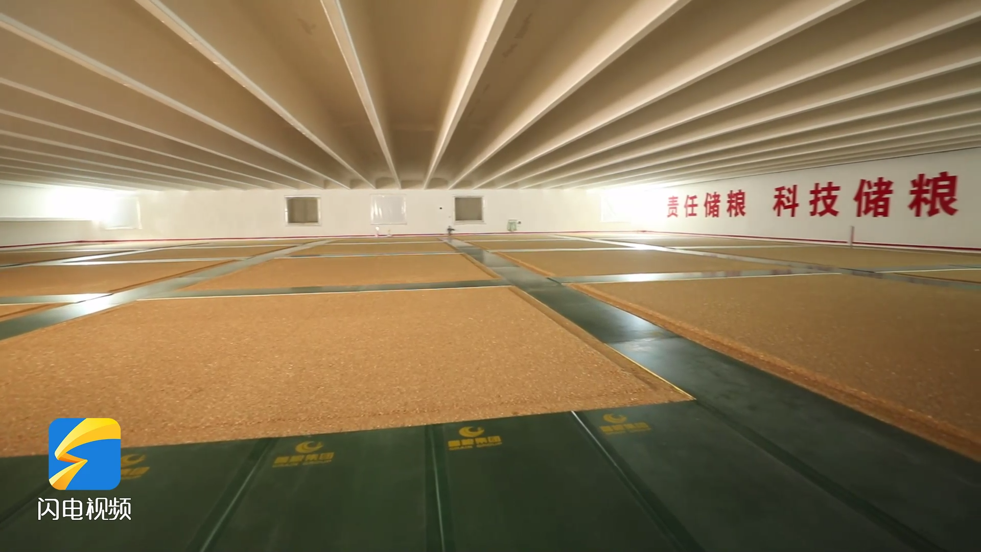 探訪魯中國有糧庫 跟著一粒小麥“過關斬將”｜顆粒歸倉