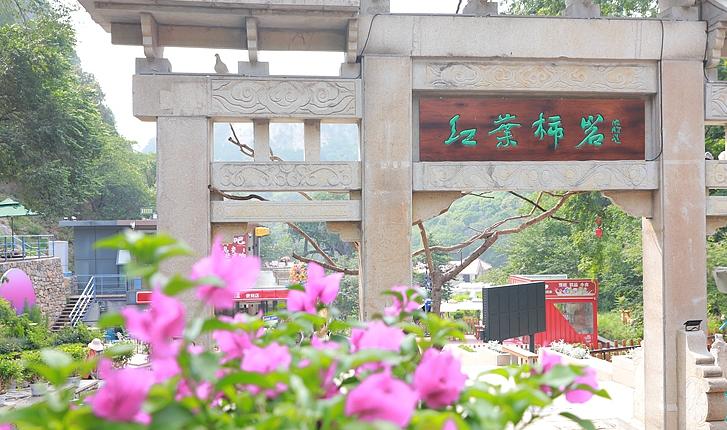 山东文旅·红叶柿岩旅游区全国总榜前百强