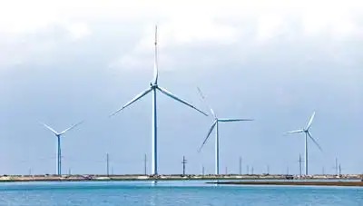 东营：风从海上来 链动新产业