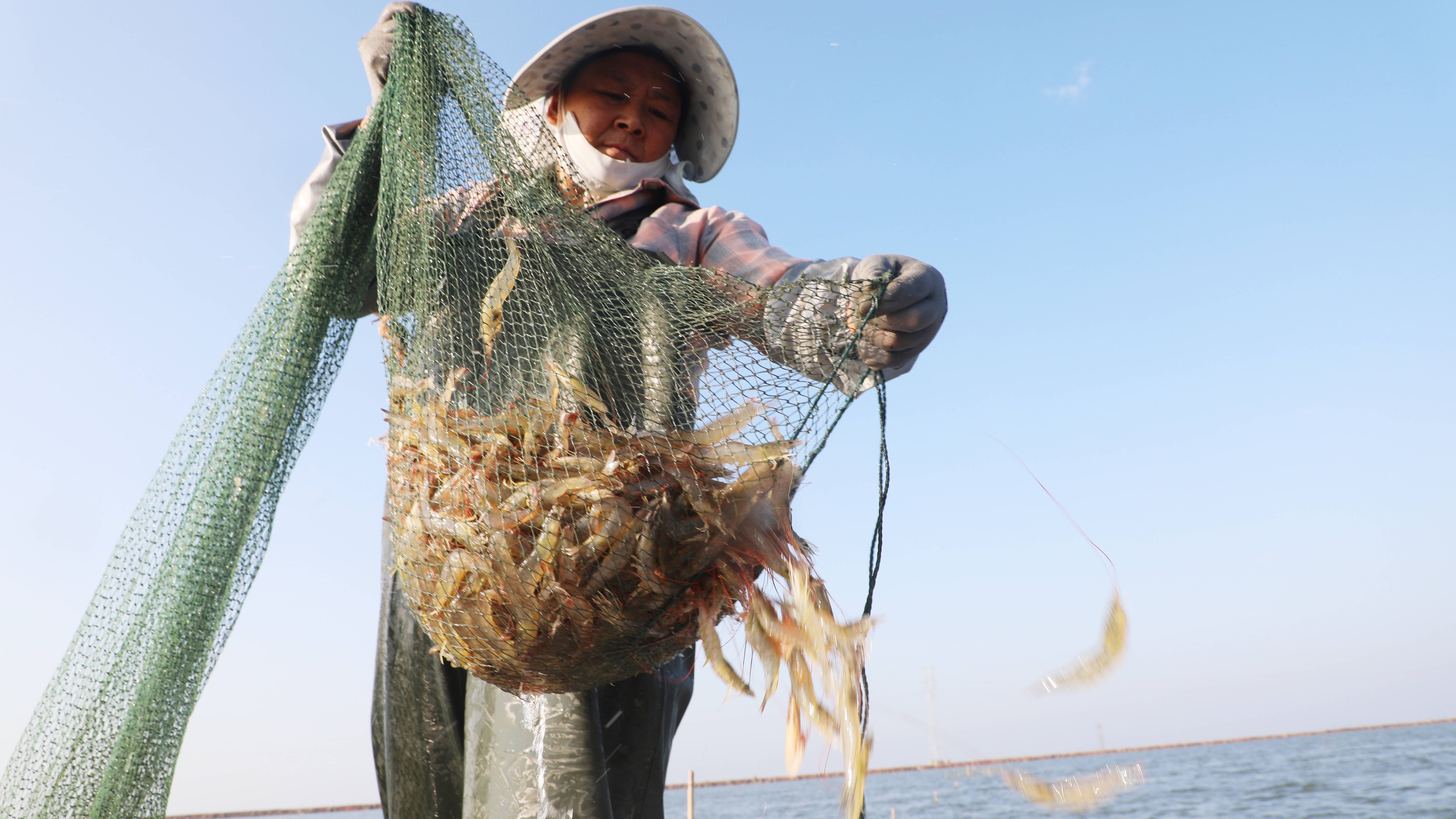 滨州沾化：建设“蓝色粮仓” 向海洋要食物