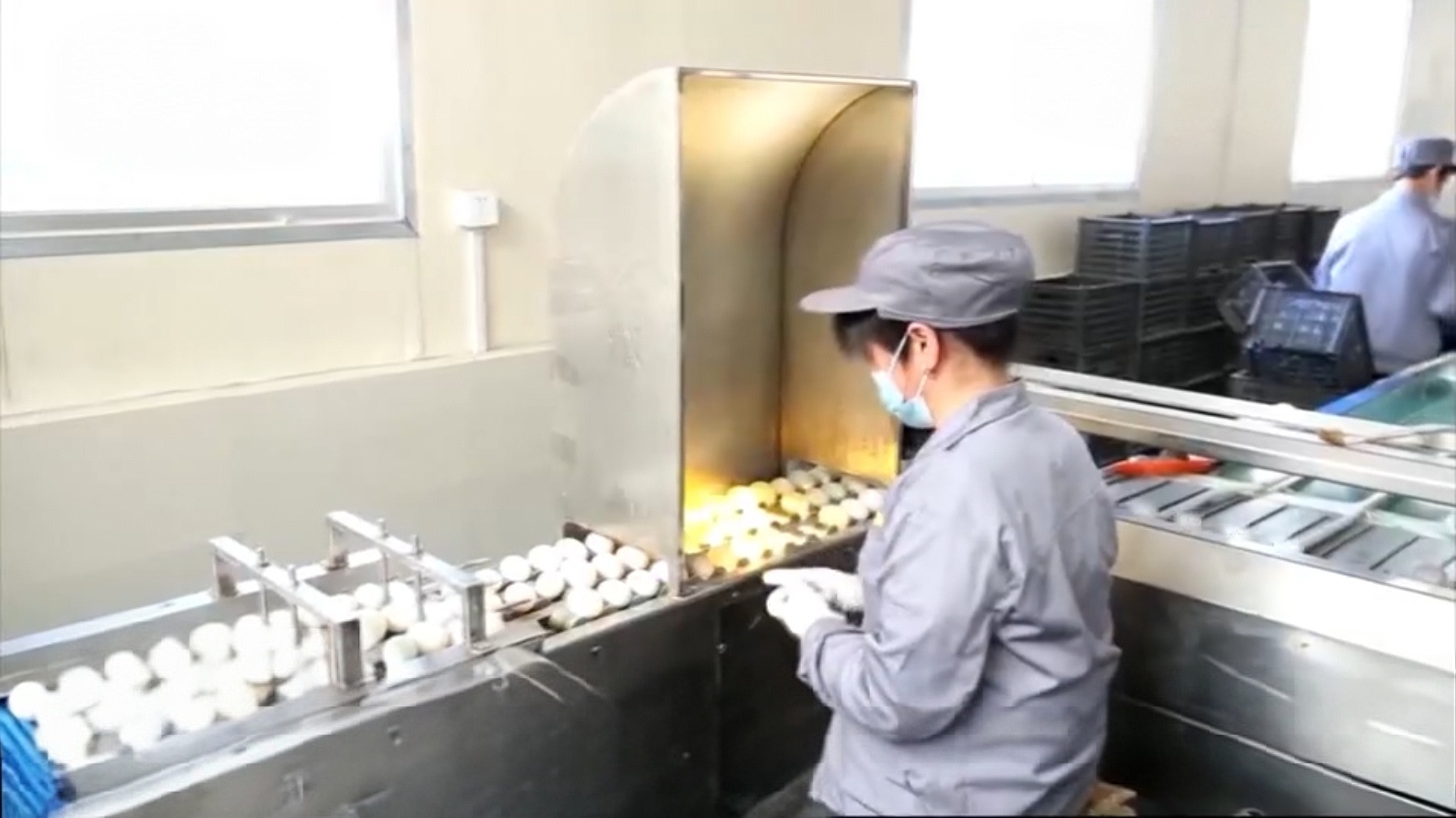 博兴：品牌助力 金丝鸭蛋变致富“金蛋”