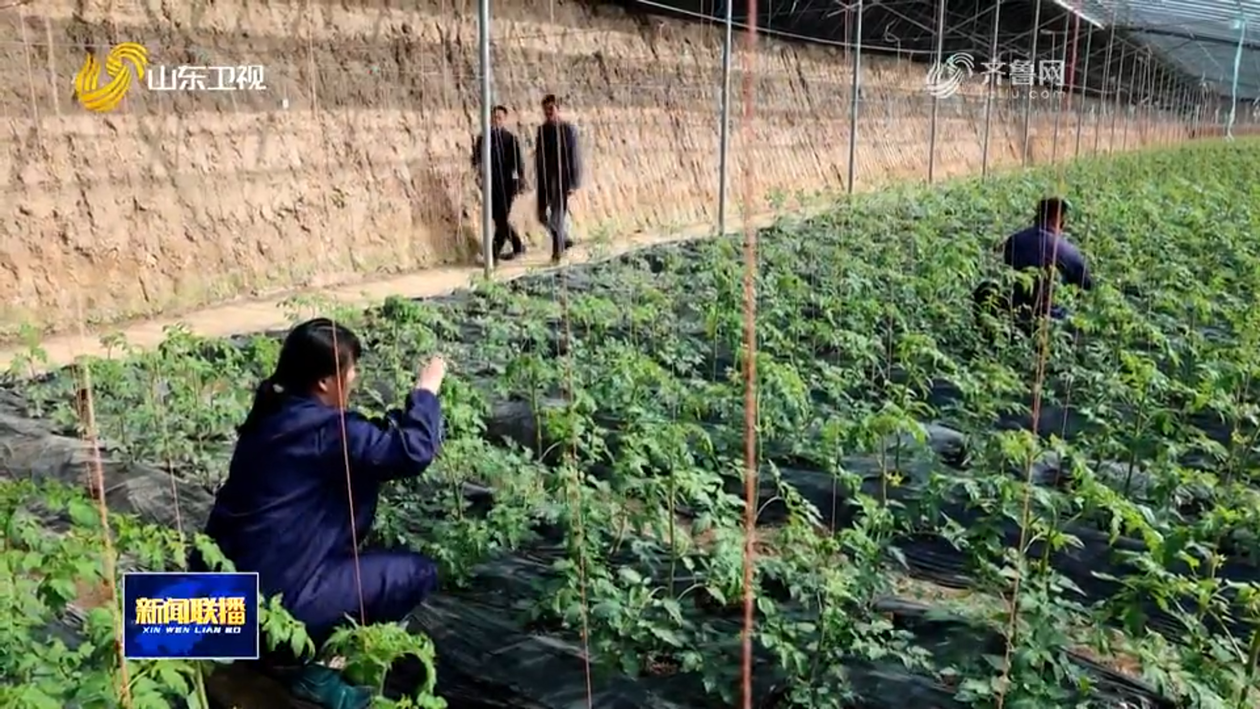 山东：广告“链”动产需 赋能实体经济