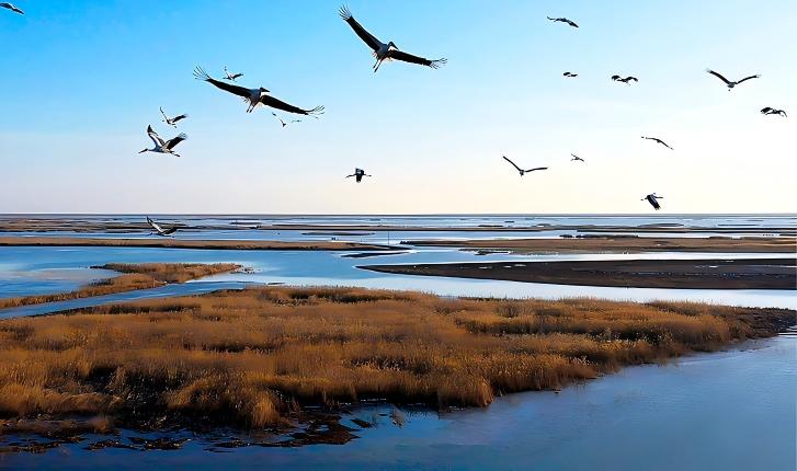 黄河拥抱蔚蓝 我们握手世界！