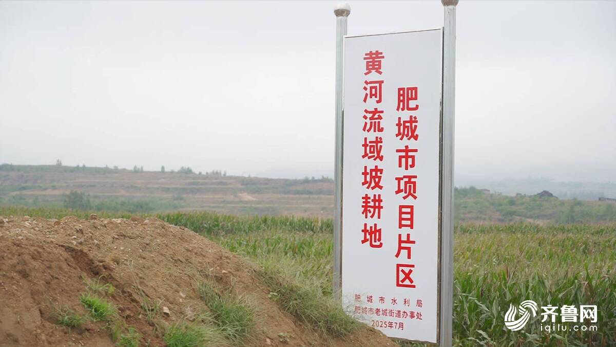 肥城：一场水土保持的“市场化破局”