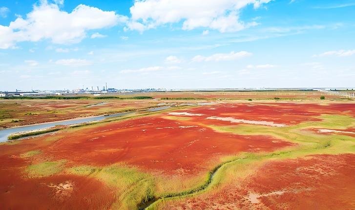 沿着黄河，遇见628公里的“山东之美”