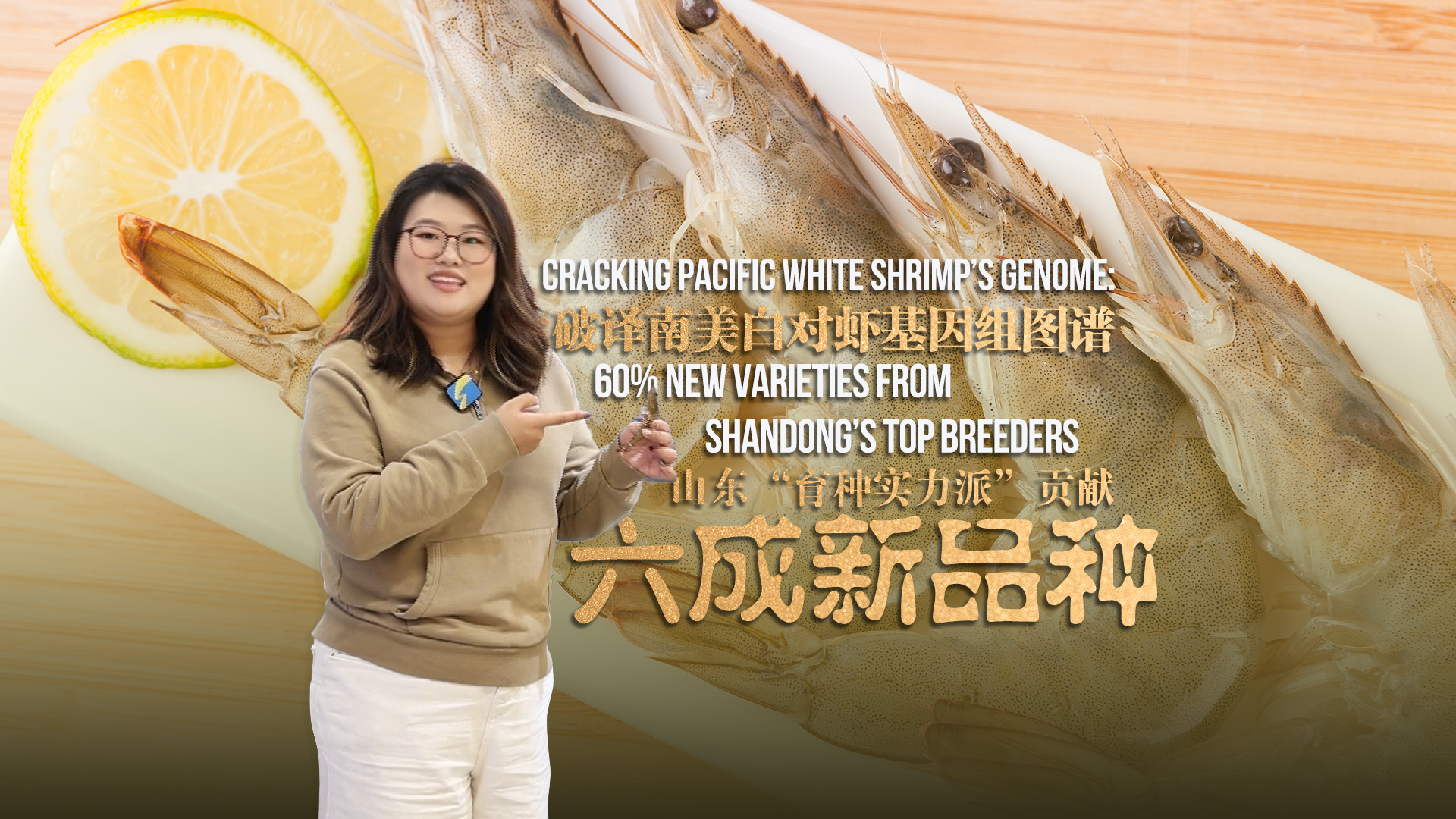 海上山东很神奇｜“虾”折腾37年，山东硬核育种让“吃虾自由”更有底气