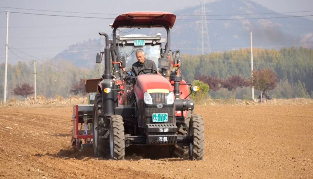 肥城：60.2万亩冬小麦播种有序推进