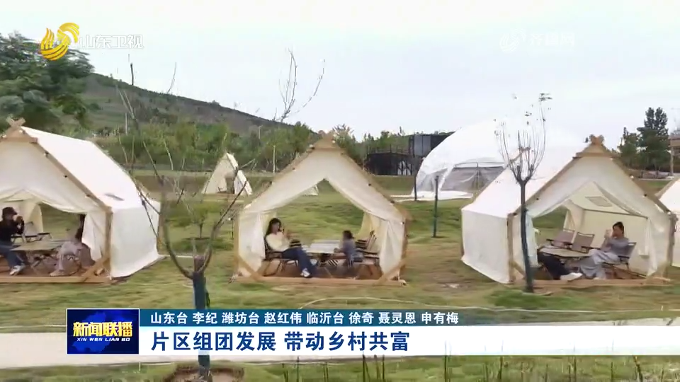 片区组团发展 带动乡村共富丨片区化推进乡村振兴的山东实践