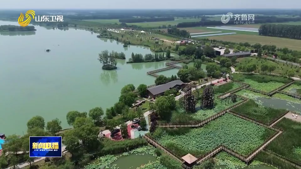 “片区合伙人”激活乡村振兴新动能丨片区化推进乡村振兴的山东实践