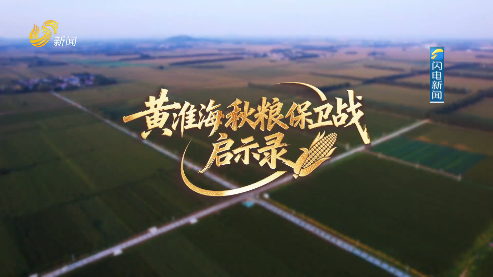 黄淮海秋粮保卫战启示录