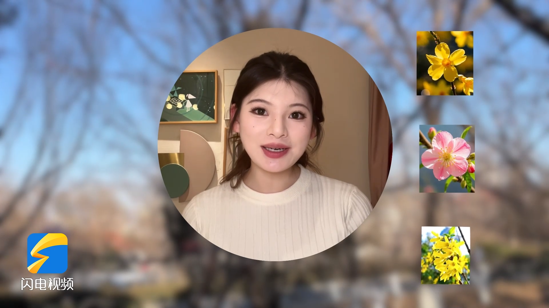 迎春、连翘“抢跑”开花 专家揭秘:去年12月气温历史第二高 预计今冬“偏暖”