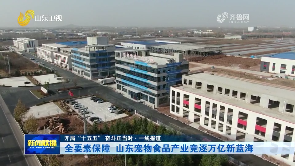 开局“十五五” 奋斗正当时·一线报道丨全要素保障  山东宠物食品产业竞逐万亿新蓝海