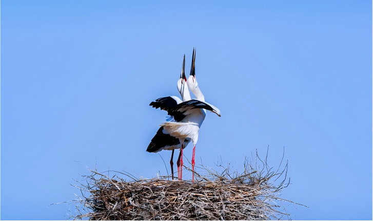 品出山东文旅的“烟火气”与“长久计”