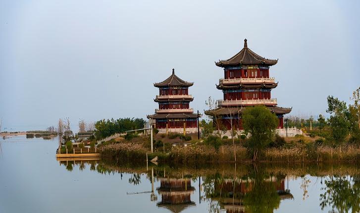 单县：第七届芦笋文化旅游季正式启动