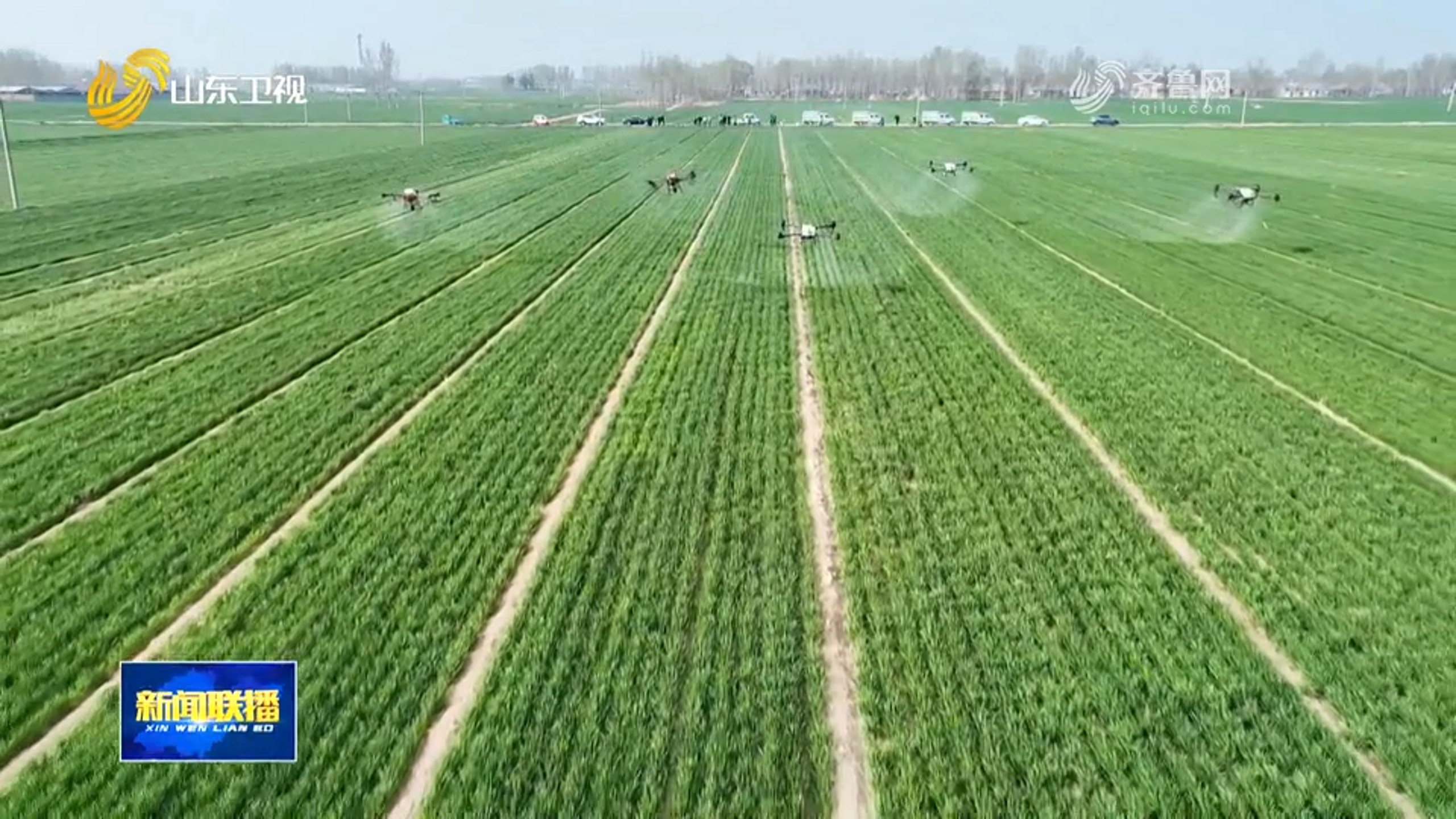 种地有了“国家标准” “吨半粮”底气更足