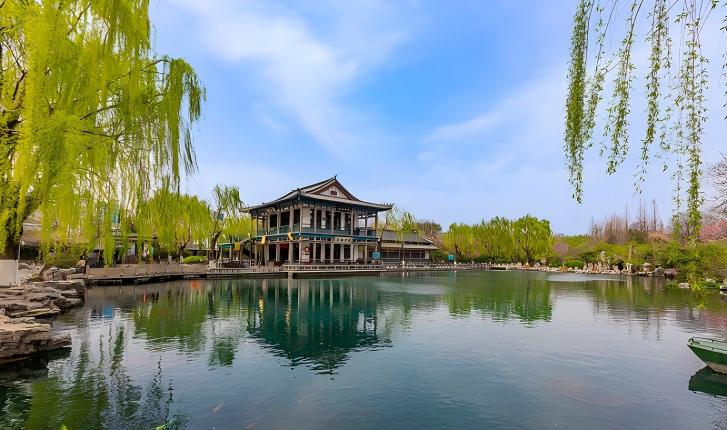 UP主齐聚、数字赋能！山东文旅玩出新高度