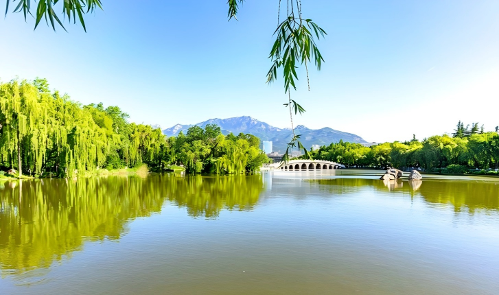 山东旅游把“放心”做成了细节题
