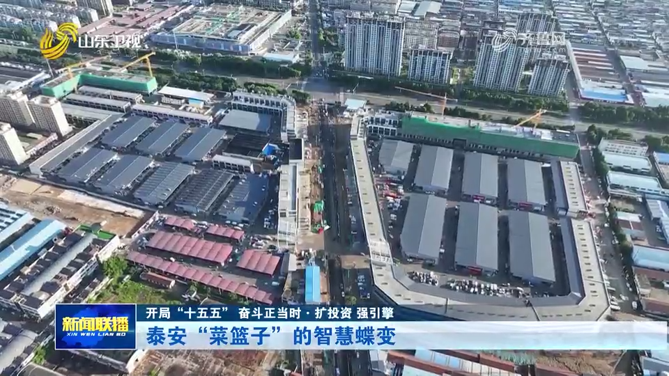 开局“十五五” 奋斗正当时·扩投资 强引擎丨泰安“菜篮子”的智慧蝶变