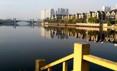 柳青河、李公河.....10月份临沂市多条重点河流水质超标