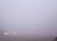 海丽气象吧｜受大雾天气影响 滨州境内多个高速收费站临时封闭
