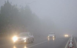 海丽气象吧｜刚刚，枣庄发布大雾黄色预警 局地能见度小于200米