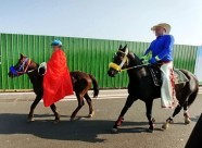 46秒丨寿光“网红骑马人”被警方约谈：公路不是跑马场，不能骑马任意穿行！