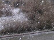 海丽气象吧丨雪来了！聊城部分地区气温已降至0℃，小雨渐转雨夹雪
