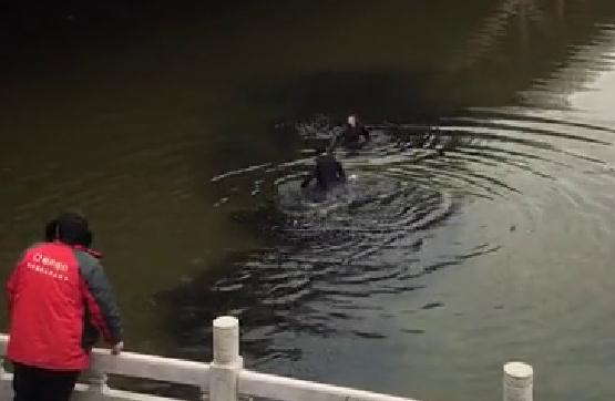 39秒丨济南一女子跳进了小清河！幸好路过的她看见了