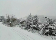 海丽气象吧丨1月7日泰安阴有雨夹雪转中到大雪，局部暴雪