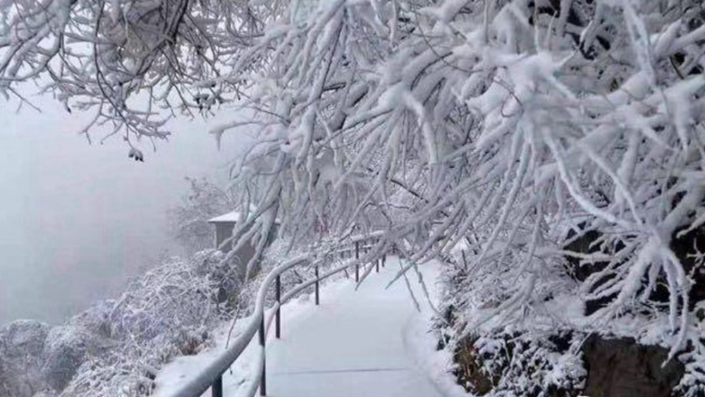 持续更新｜首雪“到货”！山东多地喜迎2020第一场降雪
