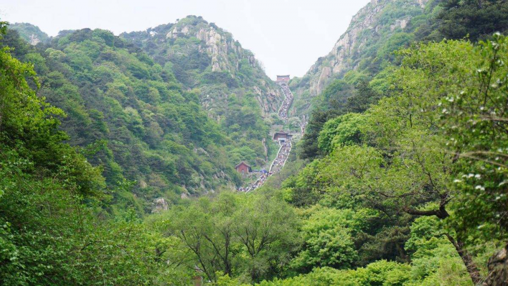 2019山东环境行政处罚通报！潍坊一年罚了1.4亿多 全省第一