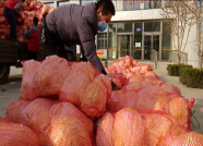 73秒丨3.6万斤白菜、900箱萝卜 潍坊一线医务人员收到了新鲜“爱心菜”