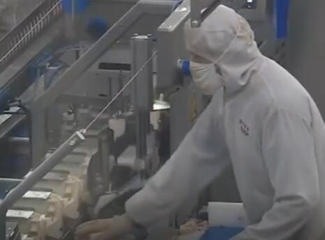 央视《午夜新闻》丨山东烟台肉鸡企业复工复产 全天生产11小时