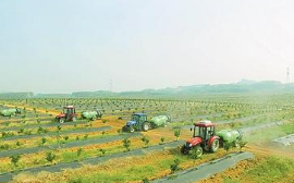 到2022年，山东将建成50家左右的省级现代农业产业园