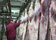 67秒丨日产冷鲜肉200吨！潍坊猪肉加工企业积极复工保障市场供应