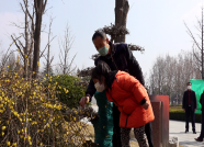 80秒丨戴上口罩来踏青！潍坊植物园正式恢复开放