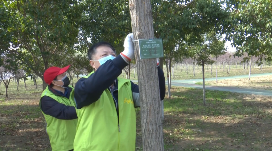 32秒|拥抱大自然，栽种幸福树！枣庄滕州170多颗新栽苗木有了“主人”