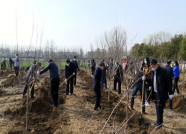 55秒丨潍坊奎文区举行春季义务植树活动 500余株苗木“搬新家”