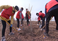 48秒|滨州博兴600干群参加全民义务植树活动 为家乡增添新绿
