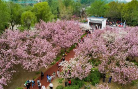 聊城姜堤乐园3月21日恢复开放，医务工作者可免费入园！