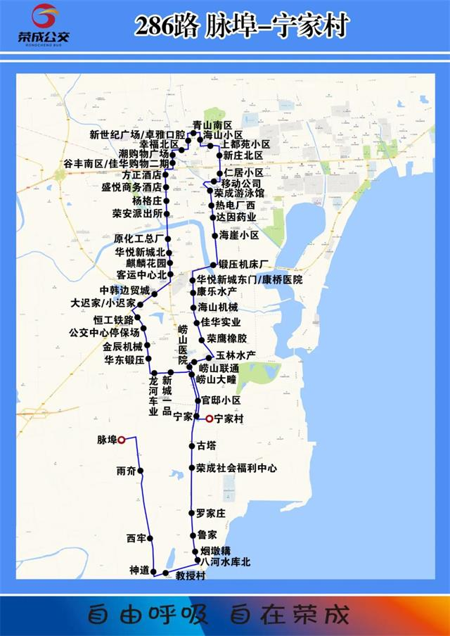 威海公交路线图图片