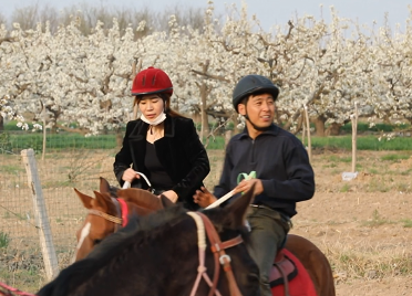 41秒｜滨州阳信万亩梨园 游客体验骑马的激情和快乐