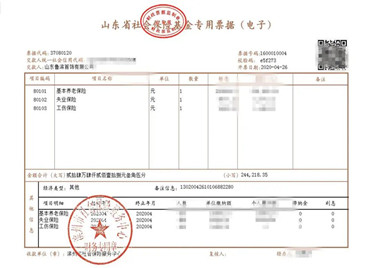 滨州正式启用社会保险基金电子票据 6月份全面实施推行