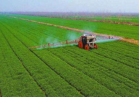 一季度济南市农业生产形势稳定 预计春播97.8万亩已完成32.8万亩