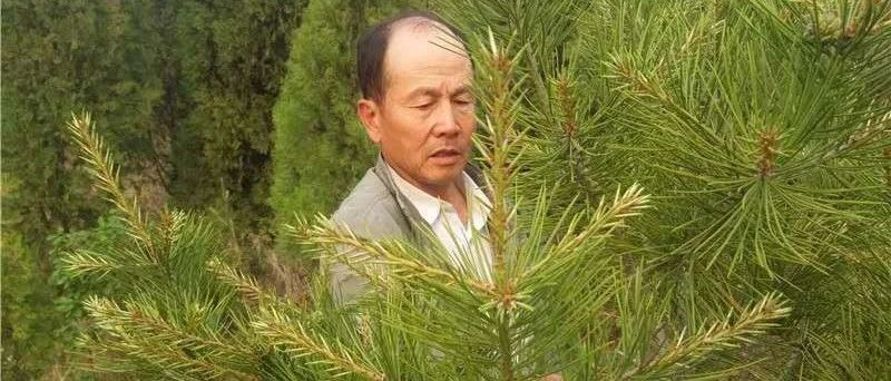 綠水青山帶笑顏！南山“愚公”于祿海堅守23年，荒山種出“金疙瘩”！