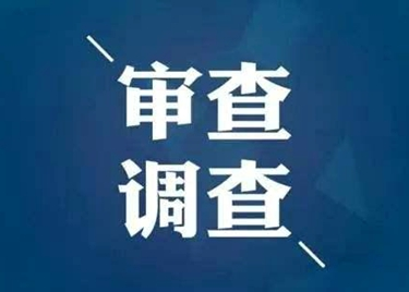 聊城市土地资产管理中心原主任杨岱东接受纪律审查和监察调查