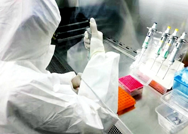 聊城调整新型冠状病毒核酸检测等项目价格