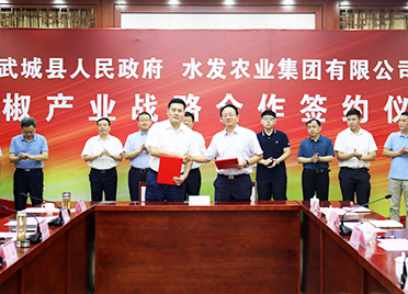武城县人民政府与水发农业集团辣椒产业战略合作签约仪式举行