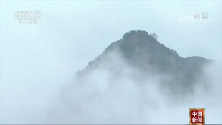 雨后泰山再现云海奇观 央视《中国新闻》30秒视频带你一览众山小