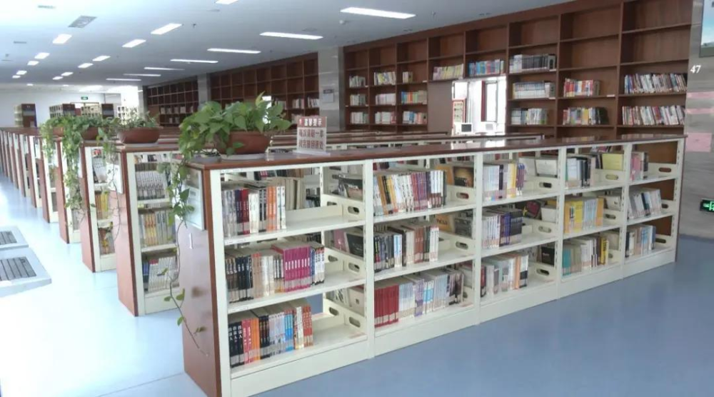 邹城图书馆2020年暑假文化志愿者开始招募了！感兴趣的看过来